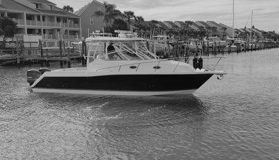 BOATANICALS For Sale image1