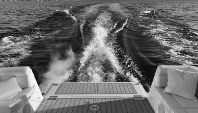 Wanderful For Sale image19