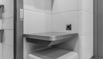 GYRFALCON For Sale image64