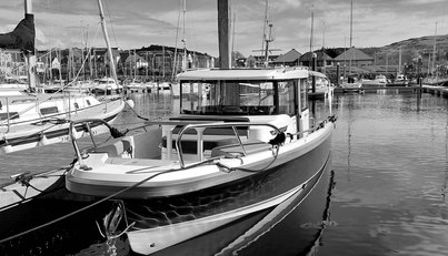 Endless Fun For Sale image14