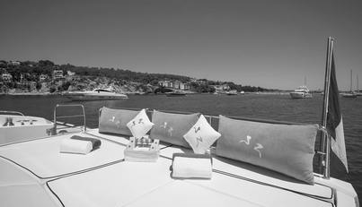 FROGGY For Sale image14