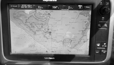 Fiddle Deedee For Sale image5