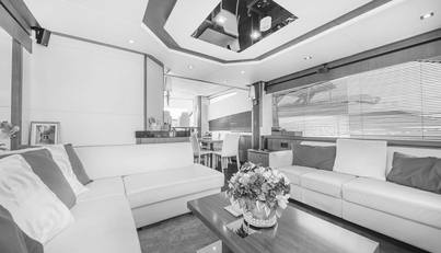 TARTUFO For Sale image19