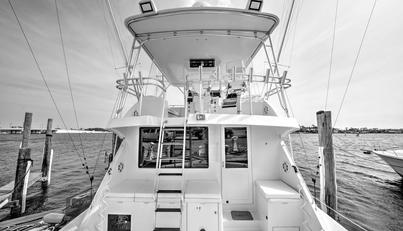 noname For Sale image8