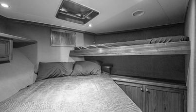 WILL RISE For Sale image55