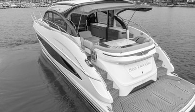 Seadoodle For Sale image6