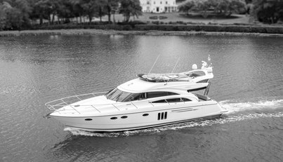 Enzo For Sale image1