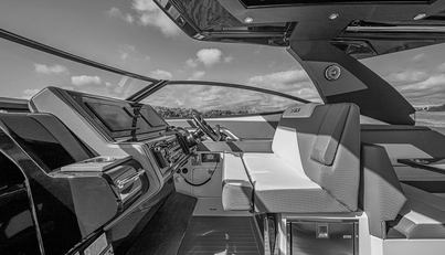 LICENSE TO CHILL For Sale image13