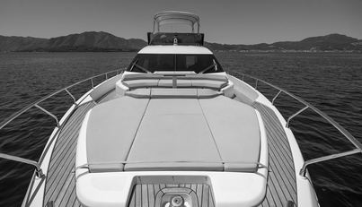 DUDU For Sale image16