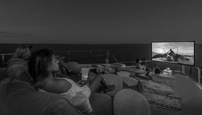 SAFE HAVEN For Sale image26