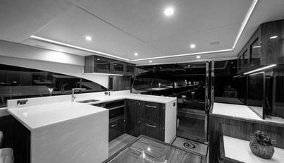 Greyhound For Sale image34