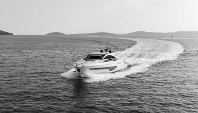 noname For Sale image19