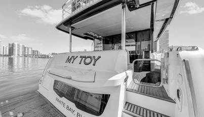 My Toy For Sale image14