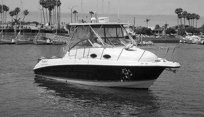 Delfini For Sale image3