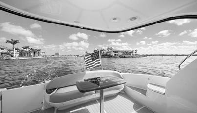 Gail’s Storm IV For Sale image26