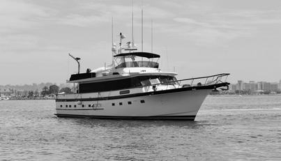VIAMORE For Sale image3