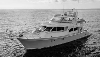 CARA MIA For Sale image5