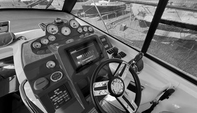 Jaspar For Sale image16