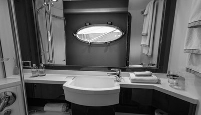 Enzo For Sale image91