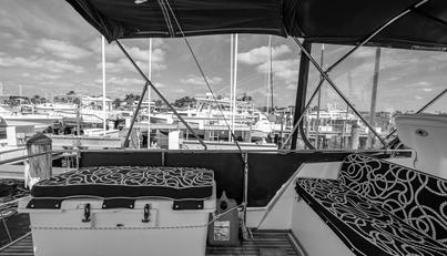 noname For Sale image19