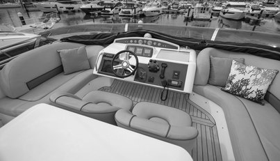 Enzo For Sale image65