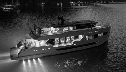 LADY LUNA For Sale image15