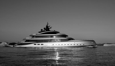 Kensho For Sale image36