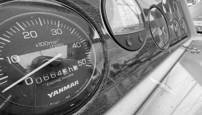 Morning Star For Sale image8