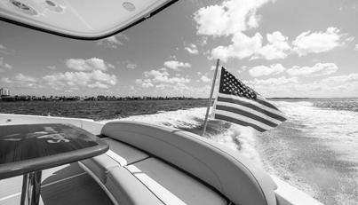Gail’s Storm IV For Sale image30