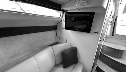 Mystique For Sale image20