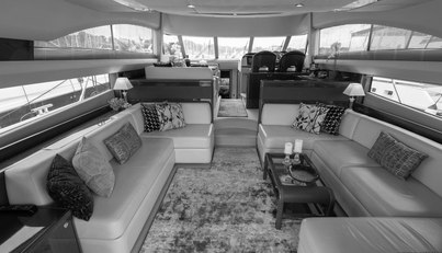 Enzo For Sale image9