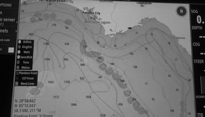STEAMER For Sale image37