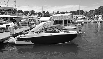 noname For Sale image1