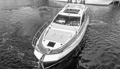 Blessed For Sale image11