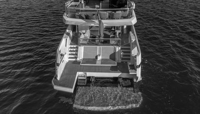 Aurelius For Sale image37