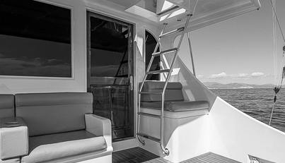 WILL RISE For Sale image34