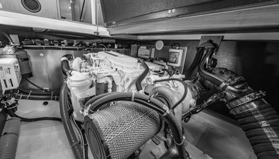 Cheers For Sale image36