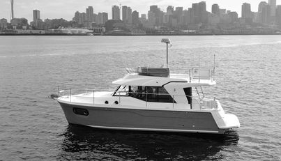 Everything Is Fine For Sale image2