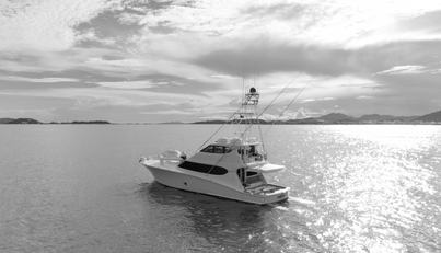 noname For Sale image9