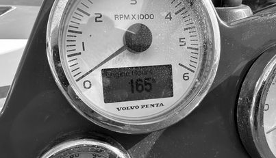 Knot Guilty For Sale image29