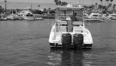 Delfini For Sale image7