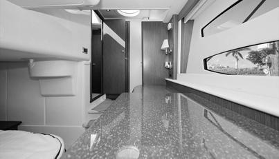 Gail’s Storm IV For Sale image75