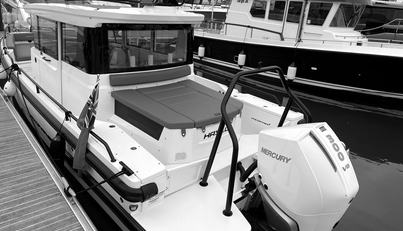 HAYLU For Sale image19