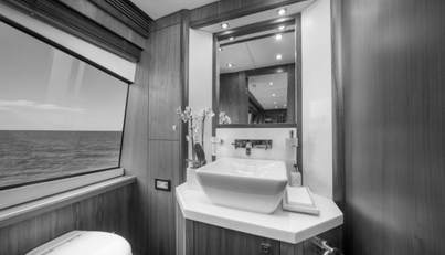 ACACIA For Sale image15