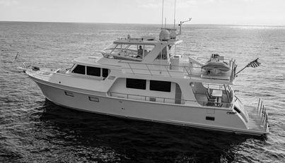 CARA MIA For Sale image53