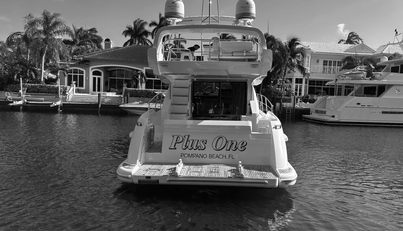 noname For Sale image5