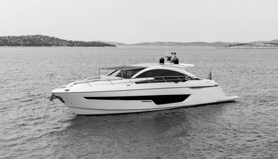 noname For Sale image1