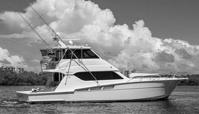 noname For Sale image2