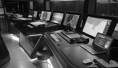 OCEANBIRD For Sale image34