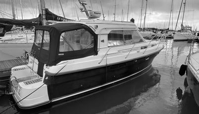 Morning Star For Sale image2